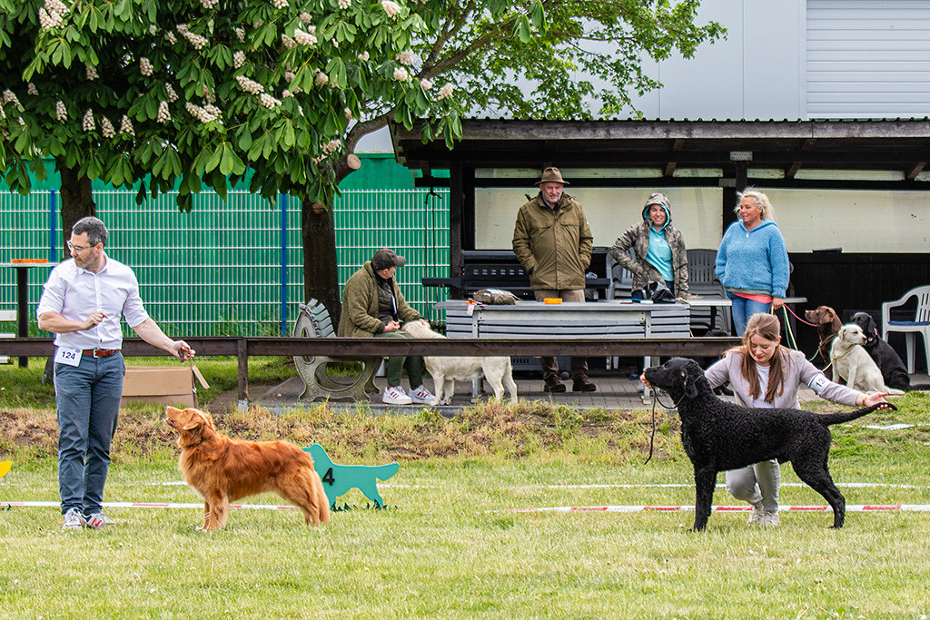 Edison mit Stephan und Samu mit Ann-Kathrin stellen sich auf