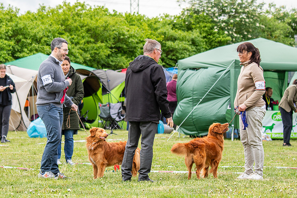 Newton wird zum Sieger der Championklasse gekürt, der Richter spricht mit der Besitzerin des zweiten Rüden