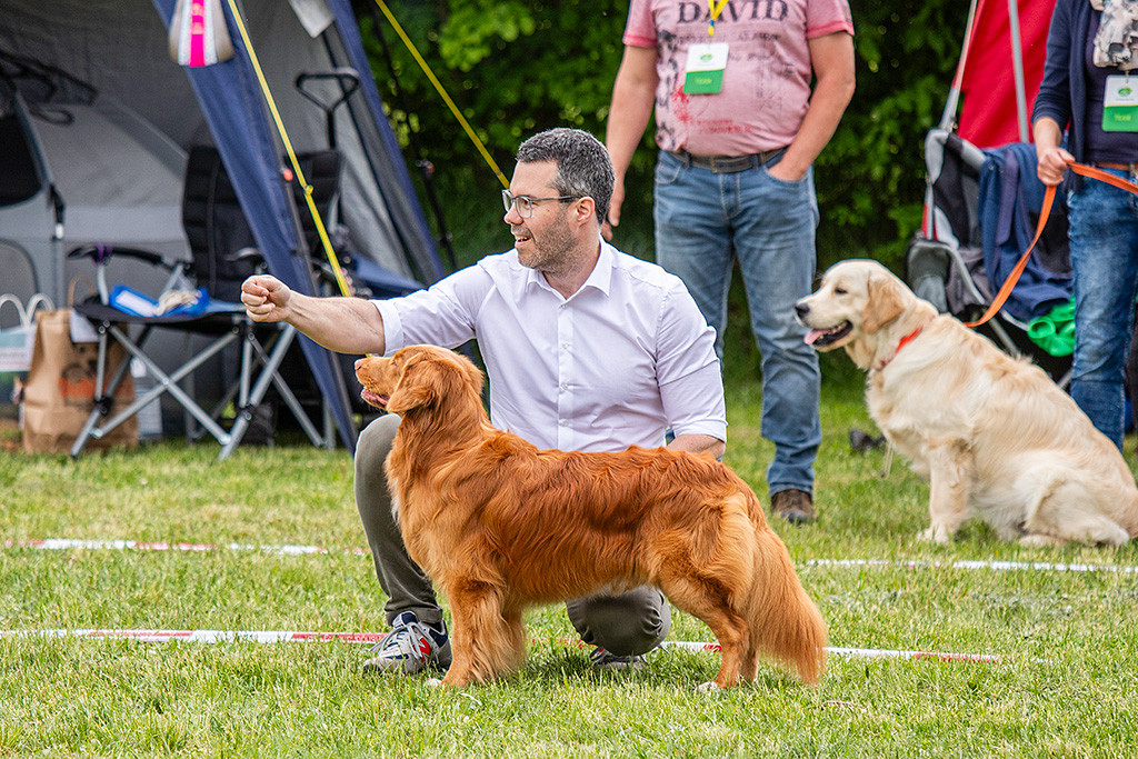 Newton steht in Pose, Stephan kniet dahinter