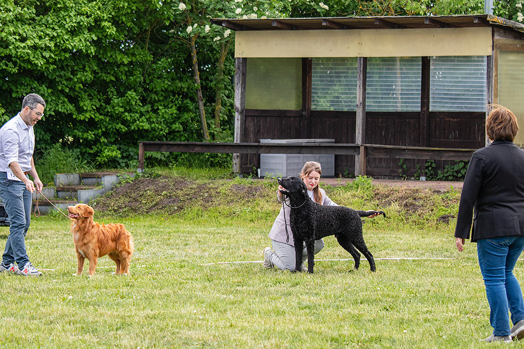 Newton steht aufgereiht neben Samu während die Richterin sich beide anschaut