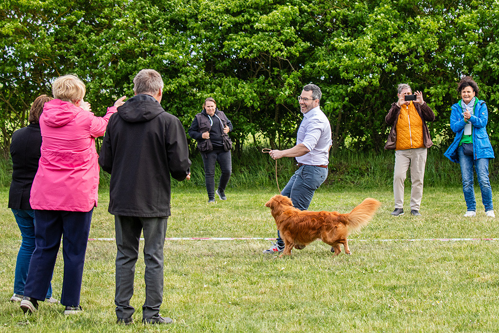 Newton wird von allen Richtern zu Supreme Best in Show ernannt, Stephan freut sich riesig