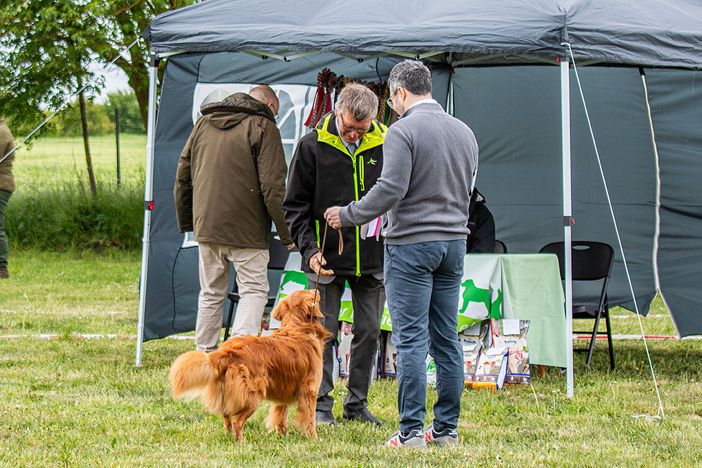 Newton himmelt den Richter an, der ihn freudig anschaut während er Stephan den Tagestitel überreicht