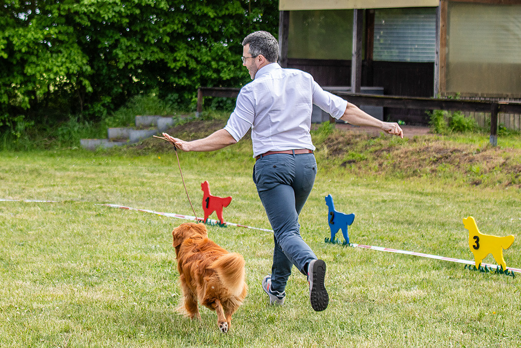 Newton und Stephan fliegen im Gleichschritt durch den Ring