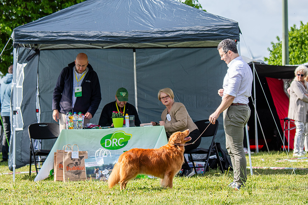 Edison steht lächelnd frontal vor Stephan und präsentiert sich der Richterin vor dem Richtertisch, die den Bericht diktiert