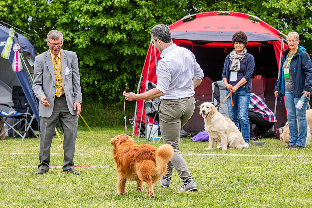 Edison läuft an Stephans Seite auf den Richter zu, der sich ihn genau anschaut