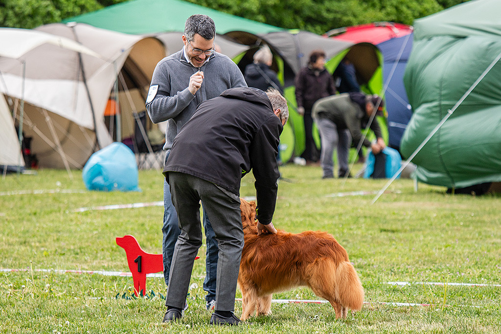 Edison wird vom Richter abgetastet