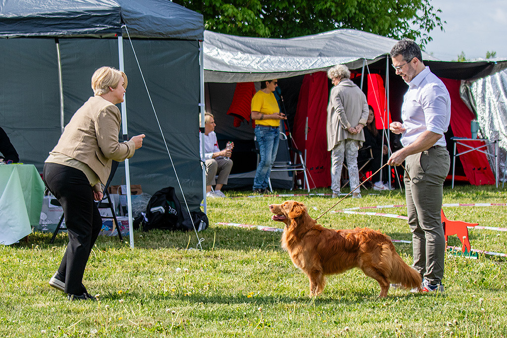Newton steht frontal vor der Richterin und flirtet sie lächelnd an