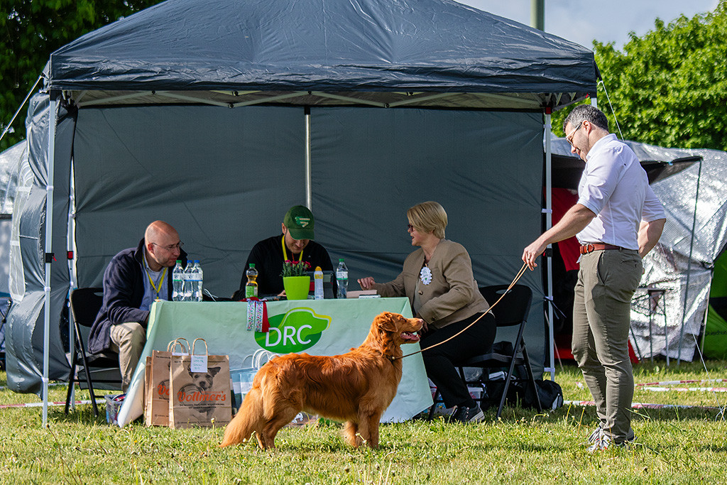 Newton steht lächelnd frontal vor Stephan und präsentiert sich der Richterin vor dem Richtertisch, die den Bericht diktiert