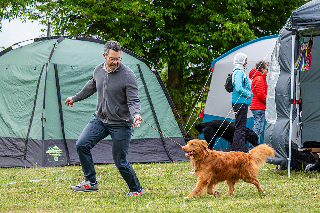Newton läuft freudig an Stephans Seite durch den Ring
