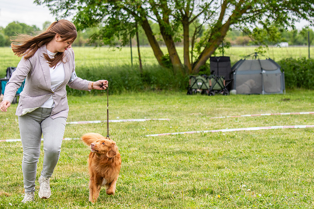 Edison läuft an Ann-Kathrins Seite durch den Ring, beide schauen sich dabei an