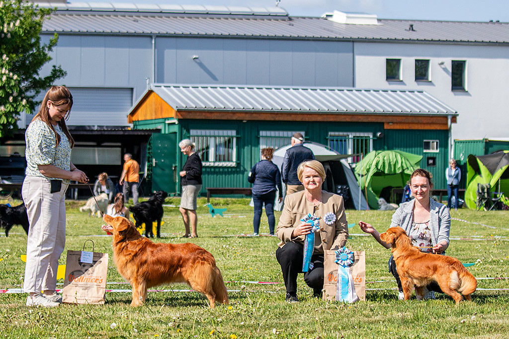 Edison posiert an Ann-Kathrins Seite fürs Siegerfoto, daneben kniet die Richterin sowie die beste Junghündin mit ihrer Besitzerin