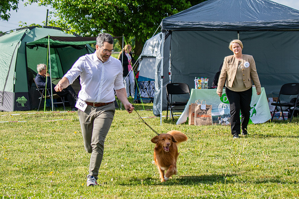 Edison läuft an Stephans Seite auf der Geraden, im Hintergrund begutachtet die Richterin
