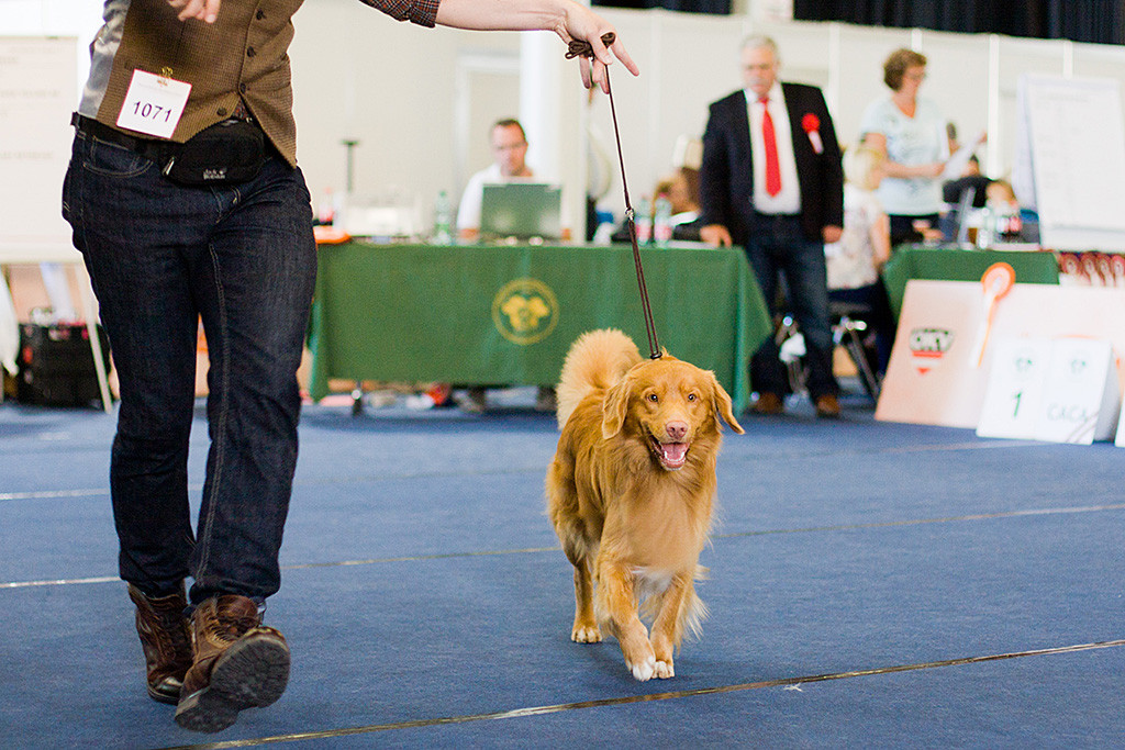 Edison läuft geführt von Stephan auf die Kamera zu