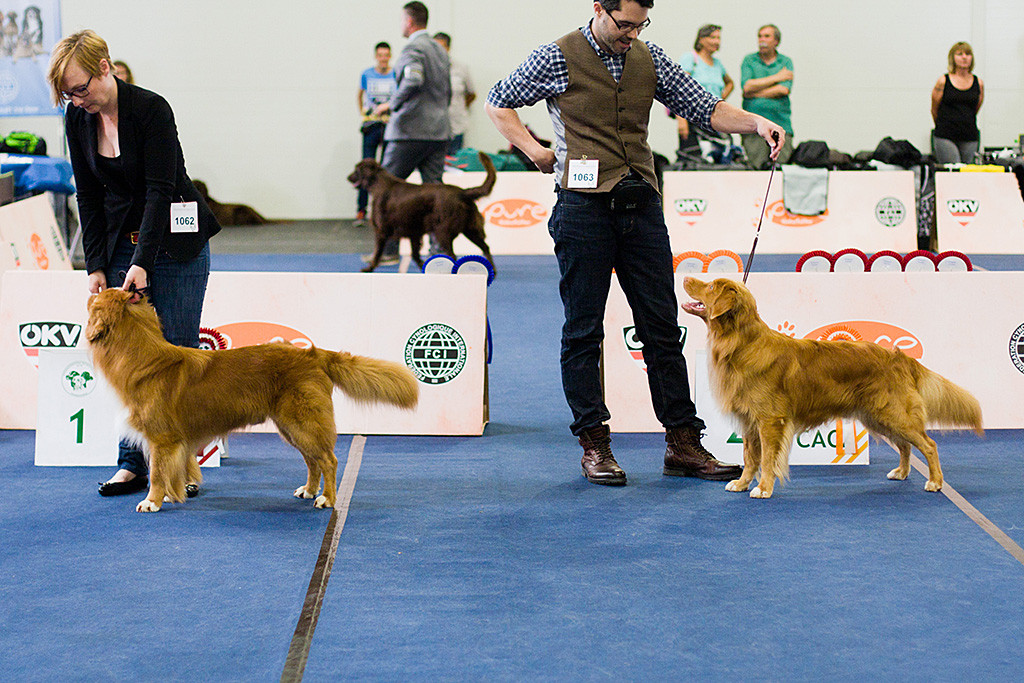 Edison steht neben »Grezagord’s Aksonman« bei der Wahl zum Sieger der Offenen Klasse