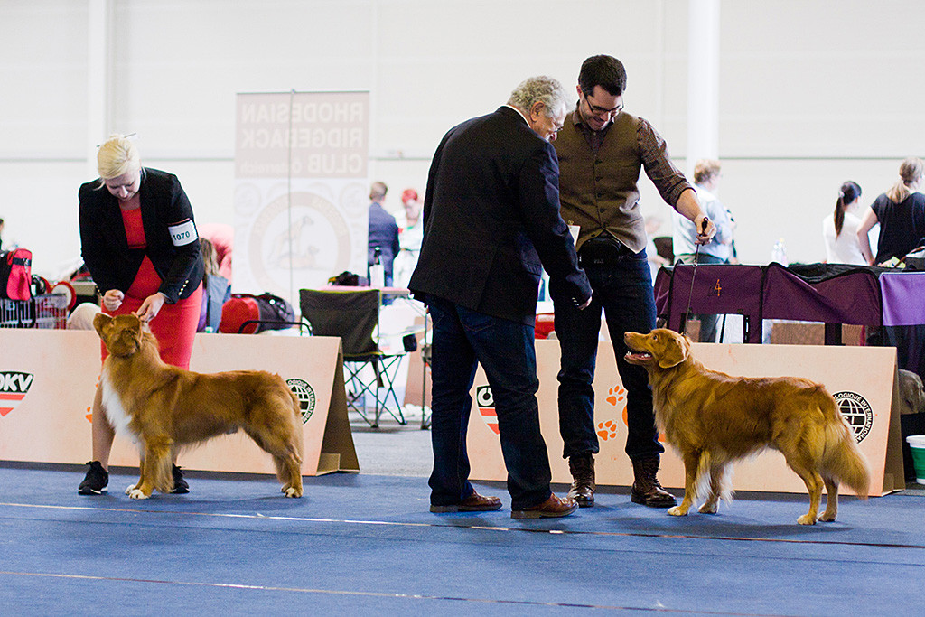 Edison steht neben »Grezagord’s Aksonman«, der Richter wirft einen ersten Blick auf ihn