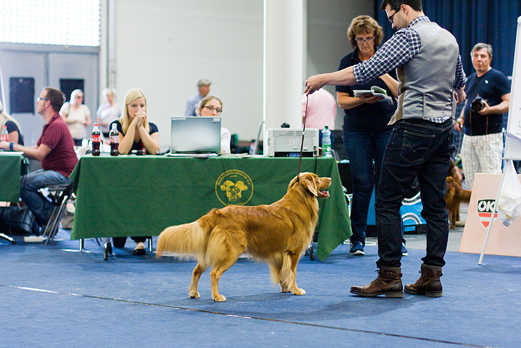 Edison wird von Stephan vor dem Richtertisch präsentiert