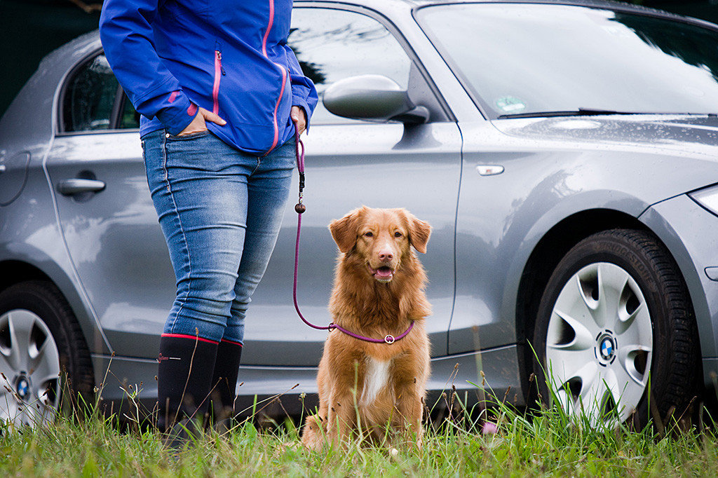 Ivalu sitzt angeleint neben Carina vor einem silbernen Auto