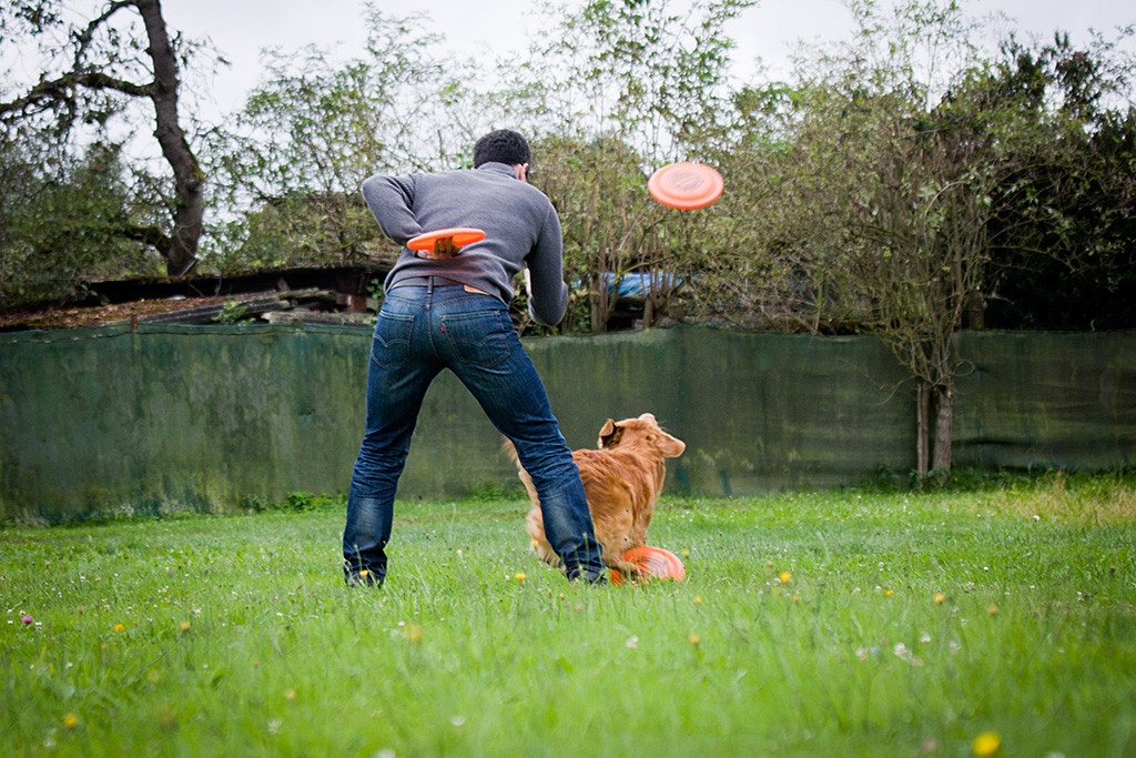 Edison läuft durch die Beine von Stephan und verfolgt eine fliegende Frisbee