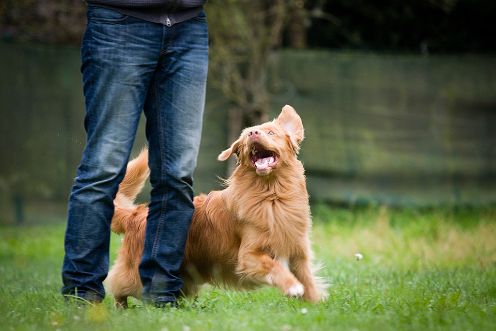 Edison läuft voller Vorfreude mit einem breiten Lachen um Stephans Beine