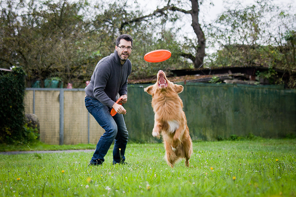 Edison setzt zum Sprung an, um eine Frisbee zu fangen