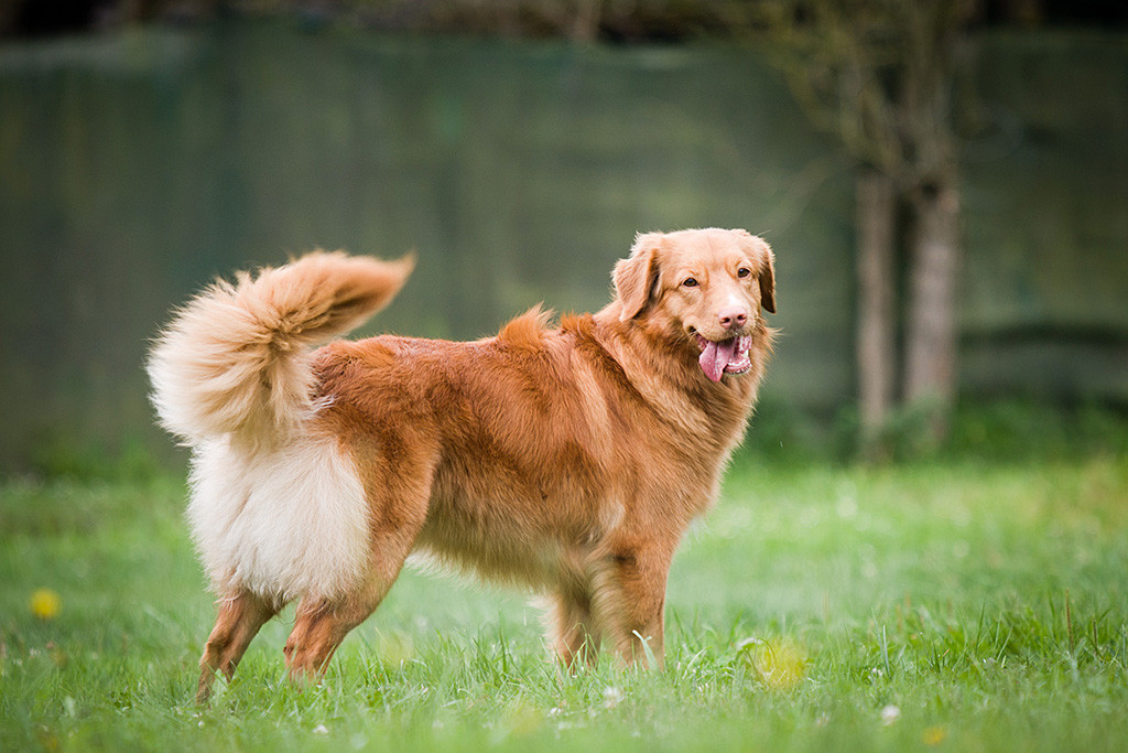 Ivalu lässt seitlich ihre Zunge heraushängen und grinst schelmisch dabei in die Kamera