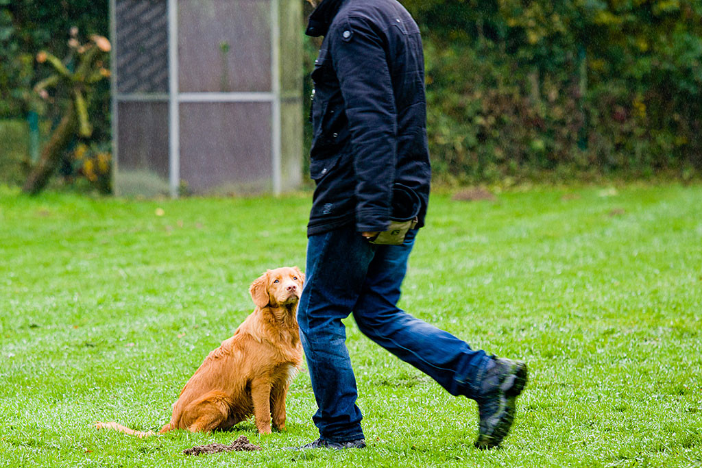 Edison schaut zu Stephan, der an ihm vorbei geht