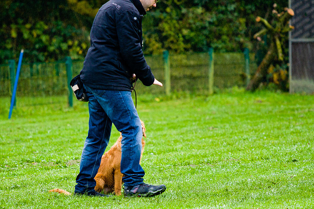 Edison wird von Stephan zum Sitzenbleiben auf der Wiese aufgefordert
