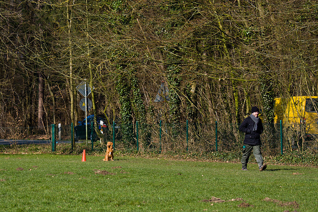 Edison bleibt sitzen und wartet