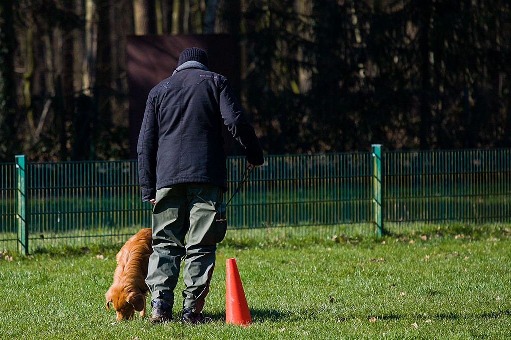 Edison fängt an zu schnüffeln
