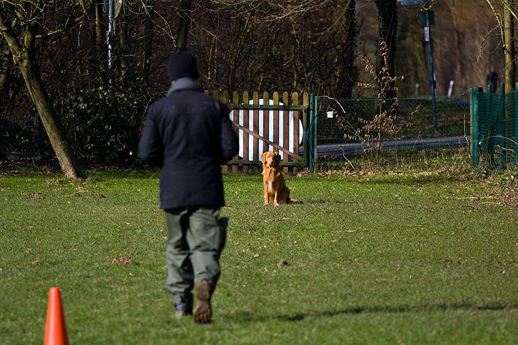 Stephan läuft zurück zu Edison, der immer noch wartet