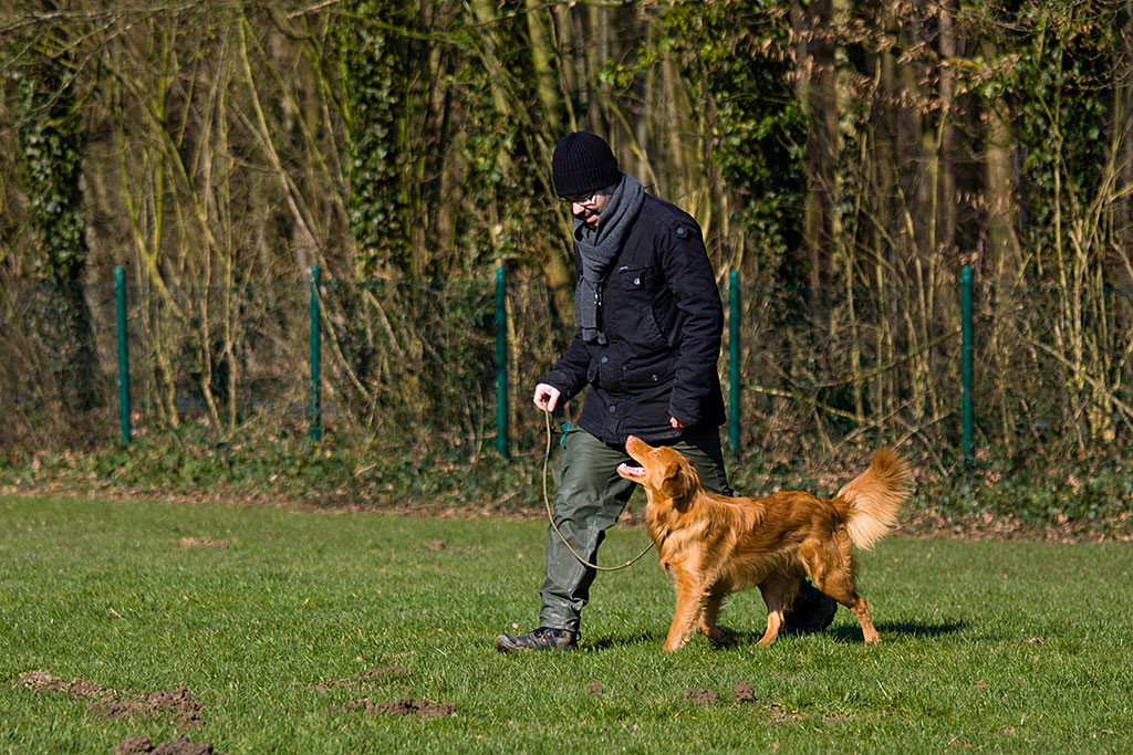 Edison läuft lächelnd leinenführig an Stephans Seite