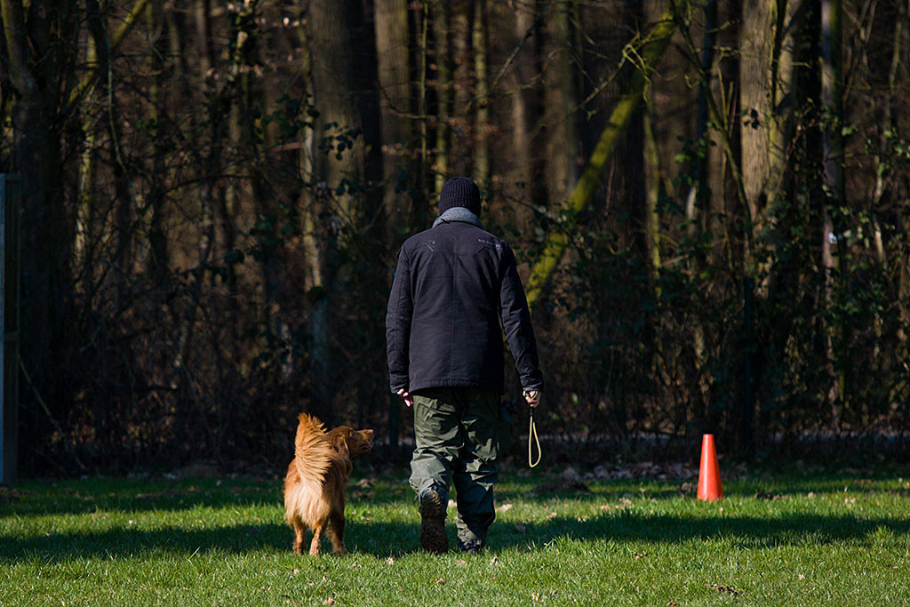 Edison schaut feilaufend zu Stephan hoch
