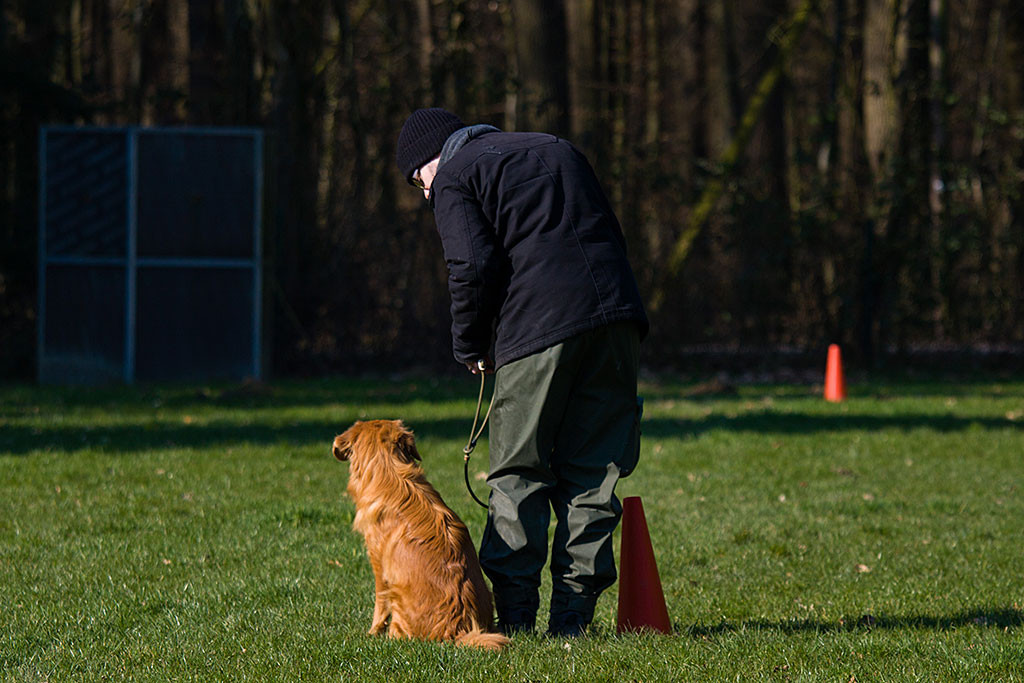Edison wird die Leine von Stephan abgenommen