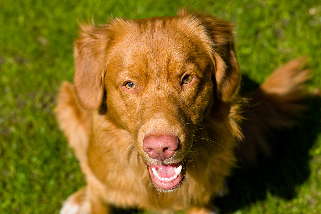 Edison lächelnd von oben