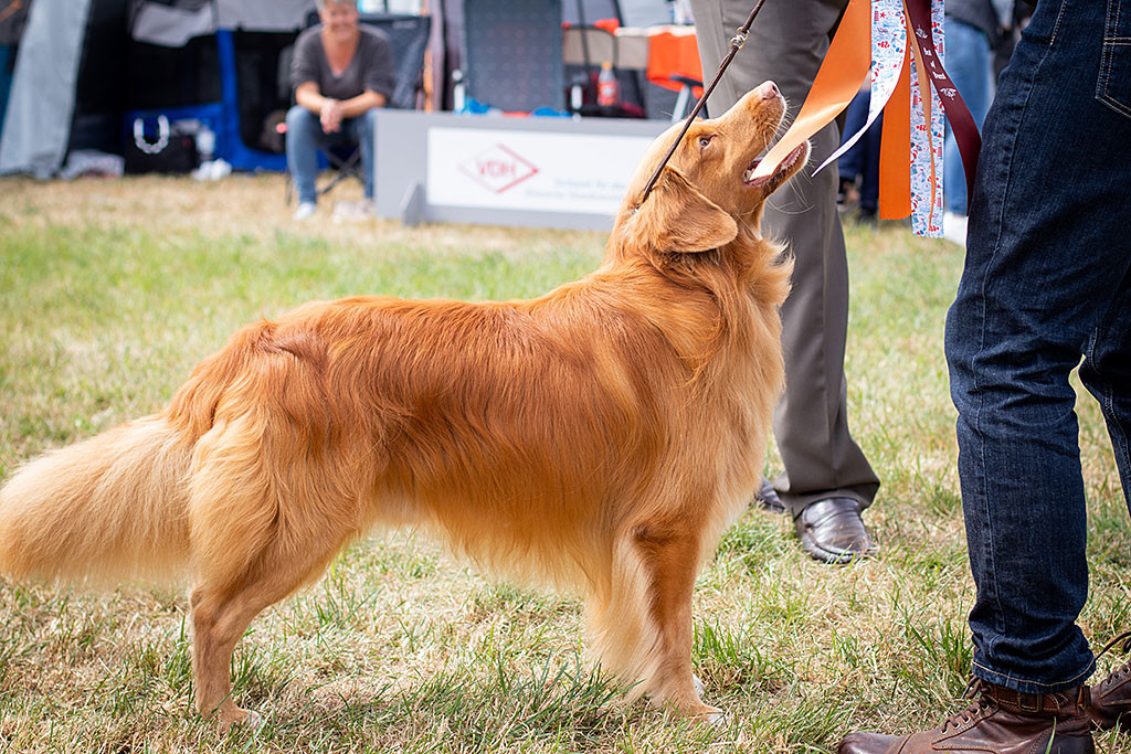Edison schaut lächelnd nach oben zu Stephan, der die BOB-Schleife in den Händen hält