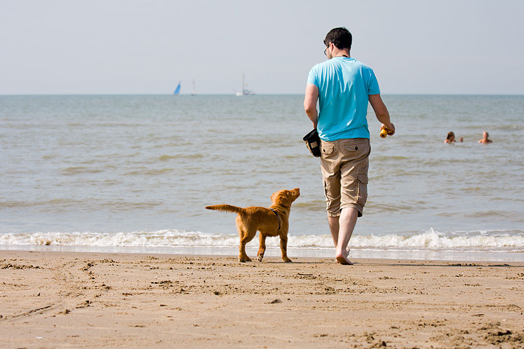 Edison geht unangeleint mit Herrchen zum Wasser