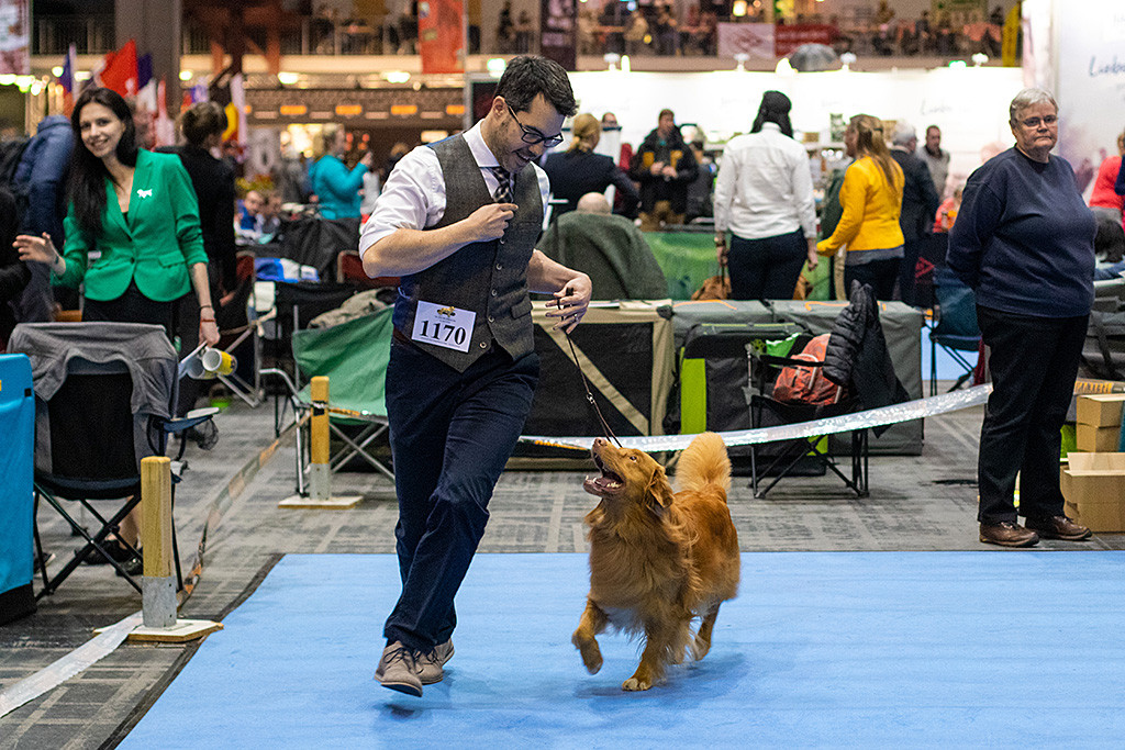 Edison läuft freudestrahlend neben Stephan durch den Ring und schaut zu ihm hoch