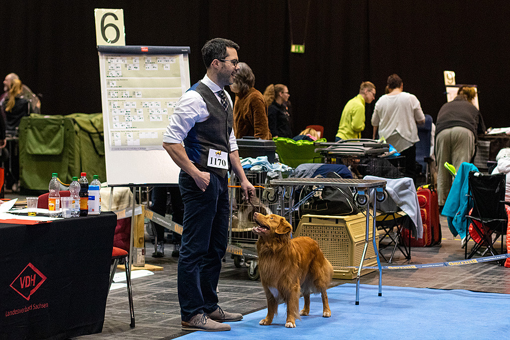 Edison steht zusammen mit Stephan an der Seite des Rings, beide freuen sich über das CACIB