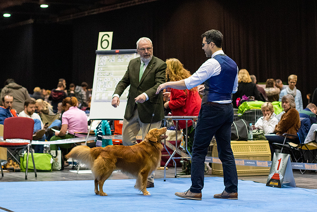 Edison steht in perfekter Pose frontal vor Stephan, dahinter gibt der Richter Anweisungen