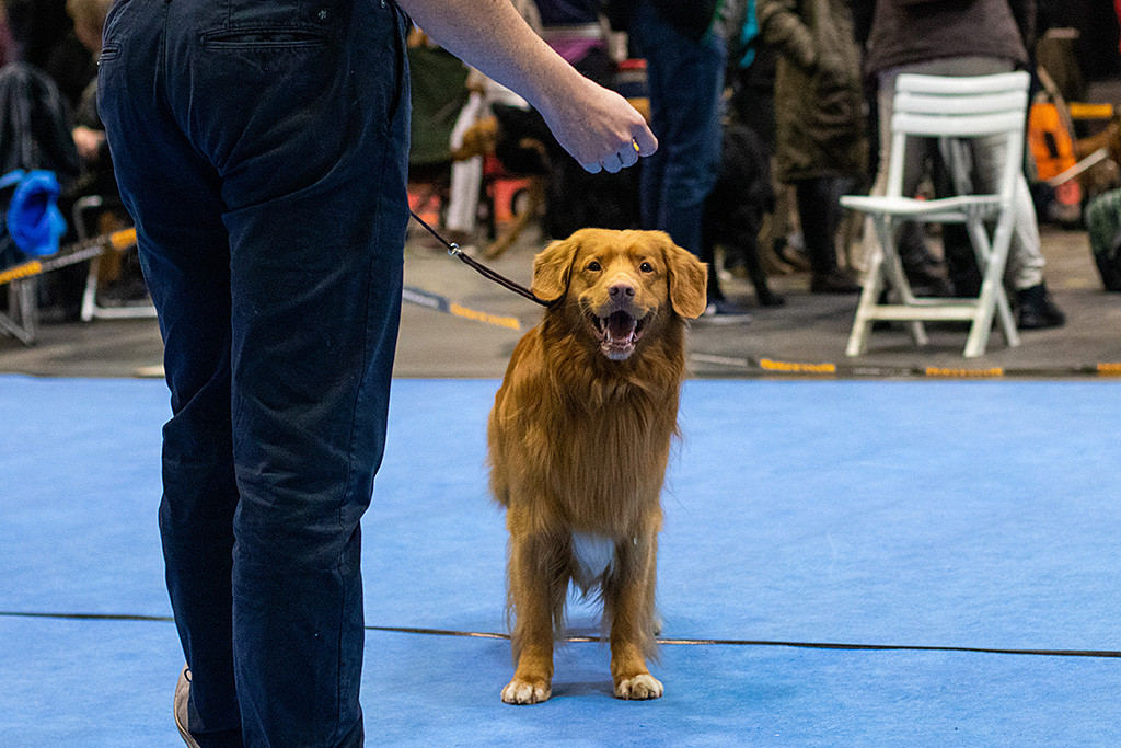 Edison schaut lächelnd auf Stephans Hand