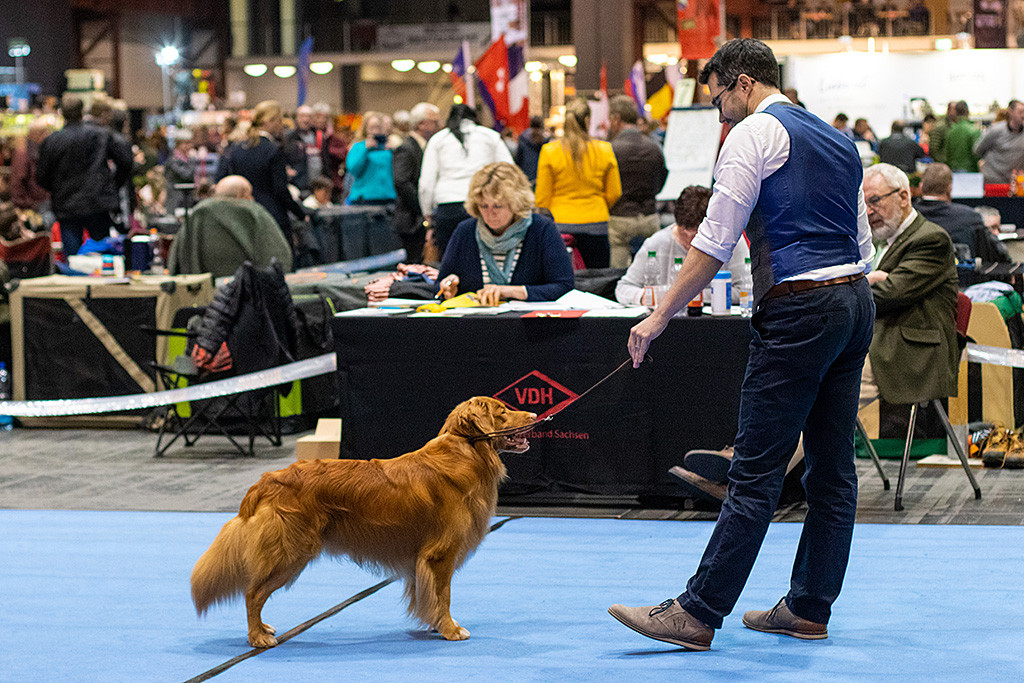 Edison steht bei Stephan vor dem Richtertisch in Pose während der der Richter seinen Bericht diktiert