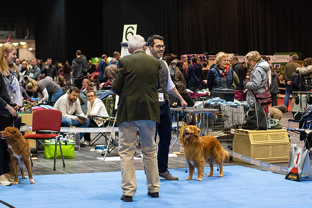 Edison schaut lächelnd hoch zum Richter, der Stephan zum Tagessieg gratuliert