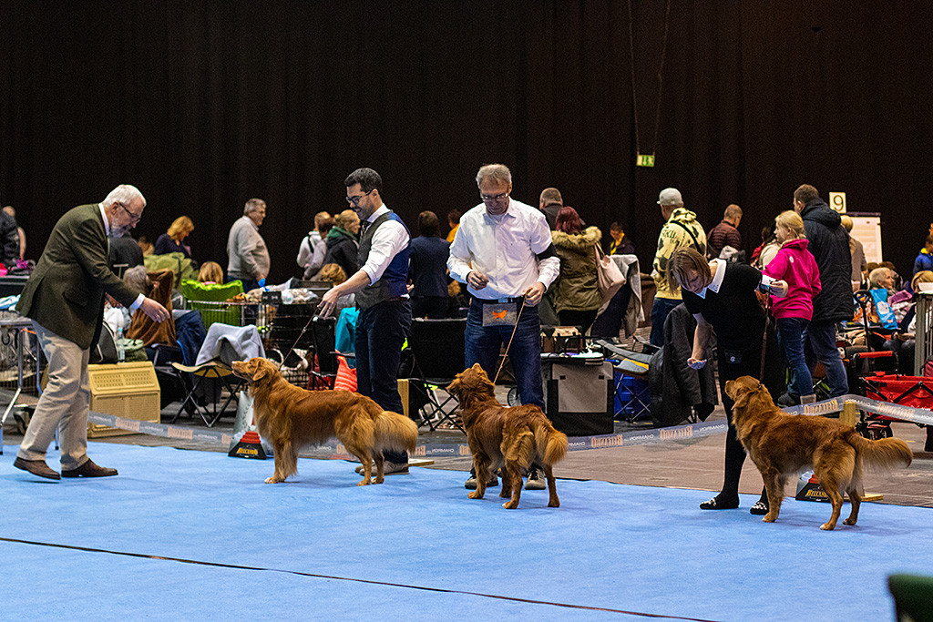 Edison steht in der Championklasse neben den zwei anderen Kontrahenten