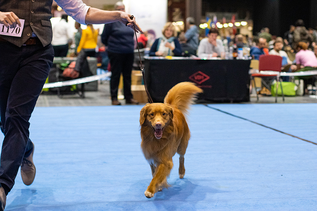 Edison läuft breit lächelnd auf der Geraden auf die Kamera zu
