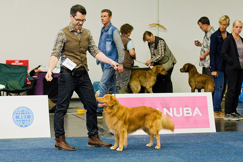 Edison steht in perfekter Positur vor Stephan