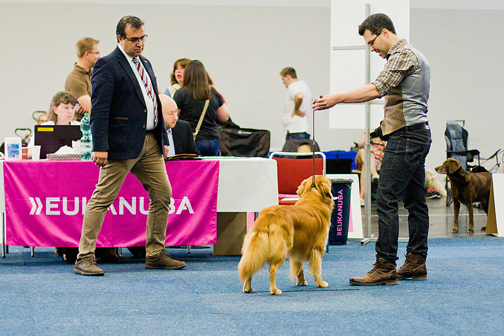 Edison wird von Stephan dem Richter präsentiert, der ihn sich gang genau anschaut
