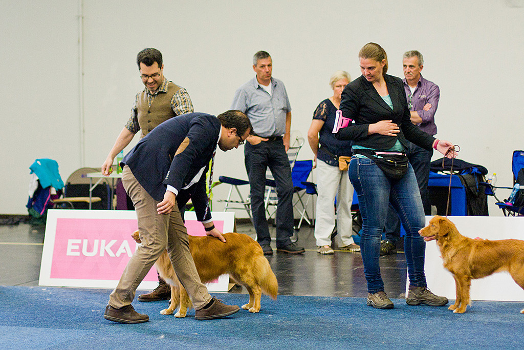 Edison wird vom Richter über den Rücken gestrichen, er steht dabei neben Samantha und ihrer Junghündin