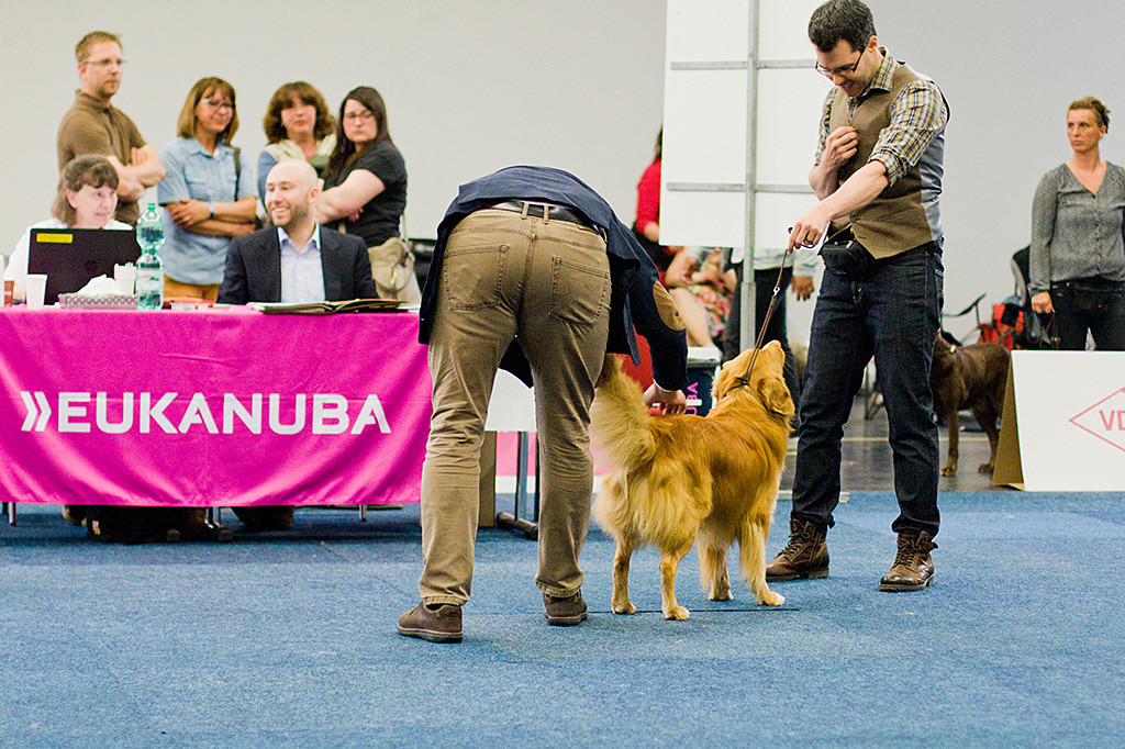 Edison steht vor Stephan während der Richter seine Rute hebt