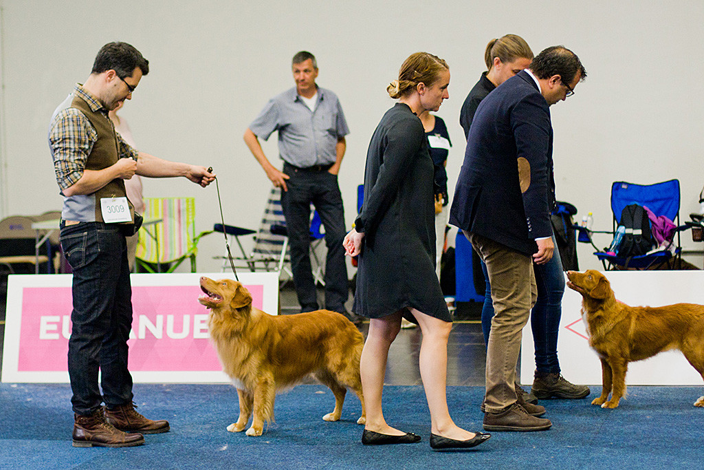 Edison schaut zu Stephan hoch und lächelt ihn an während sich Richter und Richteranwärterin die Junghündin anschauen