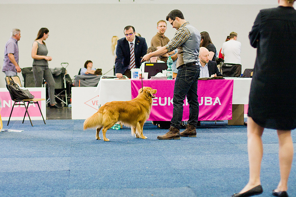Edison steht an der Seite von Stephan vor dem Richtertisch, wo der Richter seinen Bericht diktiert